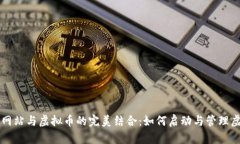 建立个人网站与虚拟币的完美结合：如