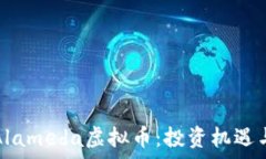   深度解析Alameda虚拟币：投资机遇与市