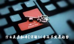 什么是虚拟币？详解BC币及其发展趋势