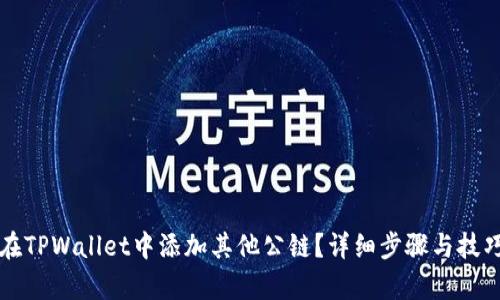 如何在TPWallet中添加其他公链?详细步骤与技巧解析