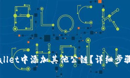 如何在TPWallet中添加其他公链?详细步骤与技巧解析
