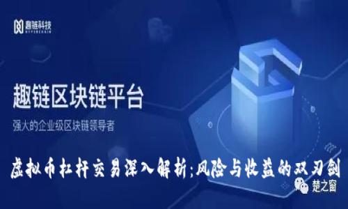 虚拟币杠杆交易深入解析:风险与收益的双刃剑