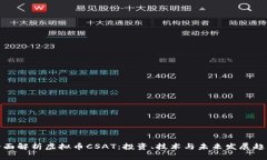 全面解析虚拟币CSAT：投资、技术与未
