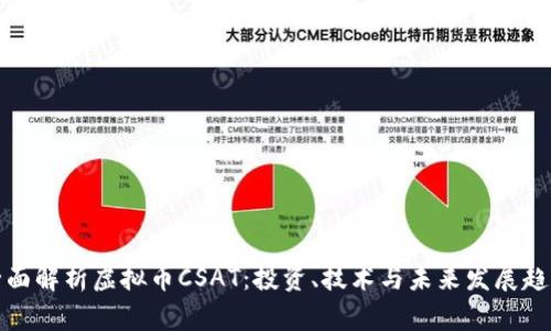 全面解析虚拟币CSAT:投资、技术与未来发展趋势