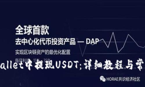 如何在TPWallet中提现USDT:详细教程与常见问题解答
