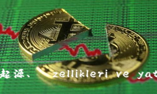 深入解析虚拟币Doge:起源、 özellikleri ve yatırım stratejileri