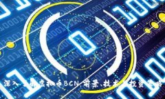 深入了解虚拟币BCN：前景、技术与投资