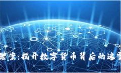 虚拟币冤案：揭开数字货币背后的迷雾