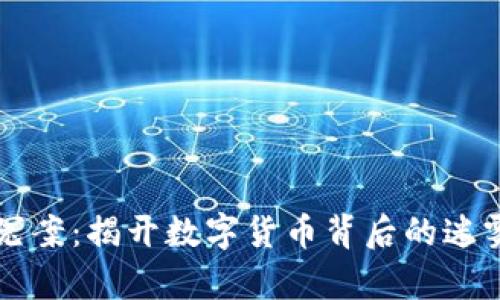 虚拟币冤案:揭开数字货币背后的迷雾与真相