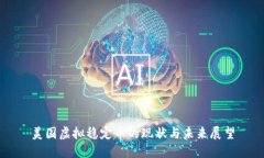 美国虚拟稳定币的现状与未来展望