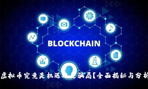 虚拟币究竟是机遇还是骗局?全面揭秘与分析