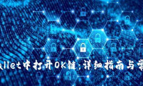 如何在TPWallet中打开OK链:详细指南与常见问题解答