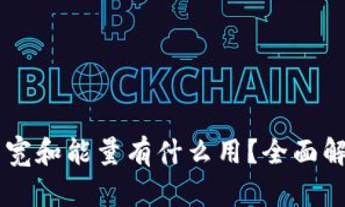 TPWallet的带宽和能量有什么用?全面解析与实用指南