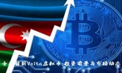 全面解析Volta虚拟币：投资前景与市场