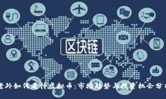 老外如何看待虚拟币：市场趋势与投资