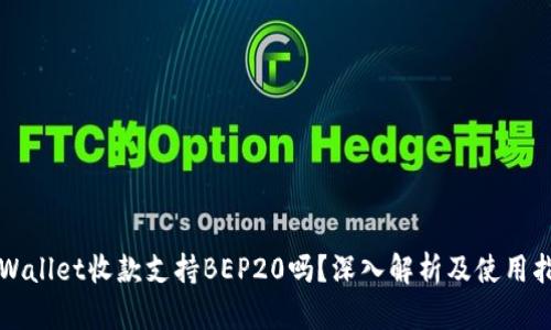TPWallet收款支持BEP20吗?深入解析及使用指南