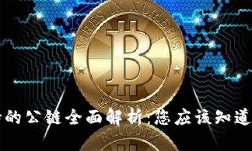 TPWallet支持的公链全面解析:您应该知道的功能与优势