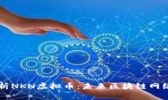 全面解析NKN虚拟币：未来区块链网络的