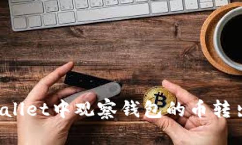 如何将TPWallet中观察钱包的币转出?详尽指南