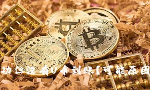 tpwallet闪兑成功但没有U币到账?可能原因及解决方案详解