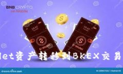 如何将TPwallet资产转移到BKEX交易所的详