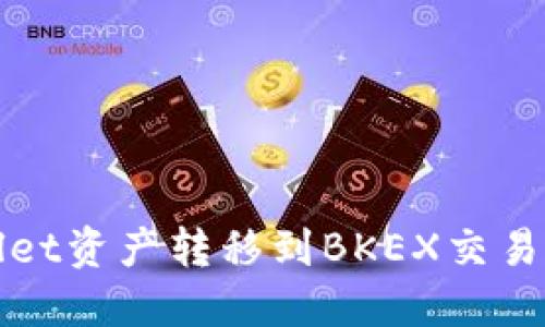 如何将TPwallet资产转移到BKEX交易所的详细指南