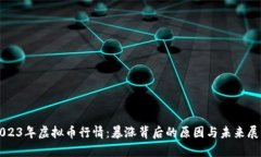 2023年虚拟币行情：暴涨背后的原因与