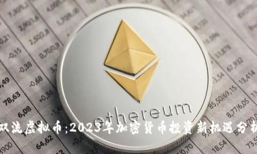 双流虚拟币：2023年加密货币投资新机遇分析