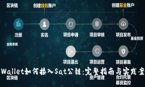 TPWallet如何接入Sat公链：完整指南与实践案例